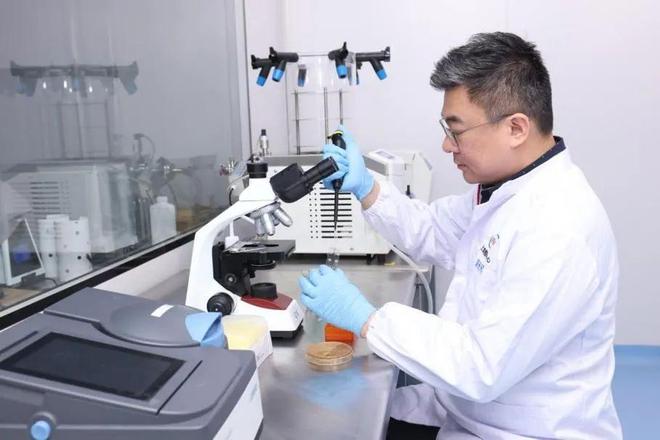 突破進口菌株壟斷，伊利攜手中國航天開啟國產(chǎn)替代燎原之勢